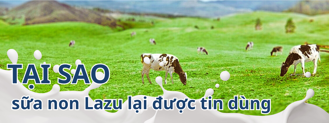 Banner Sữa Lazu