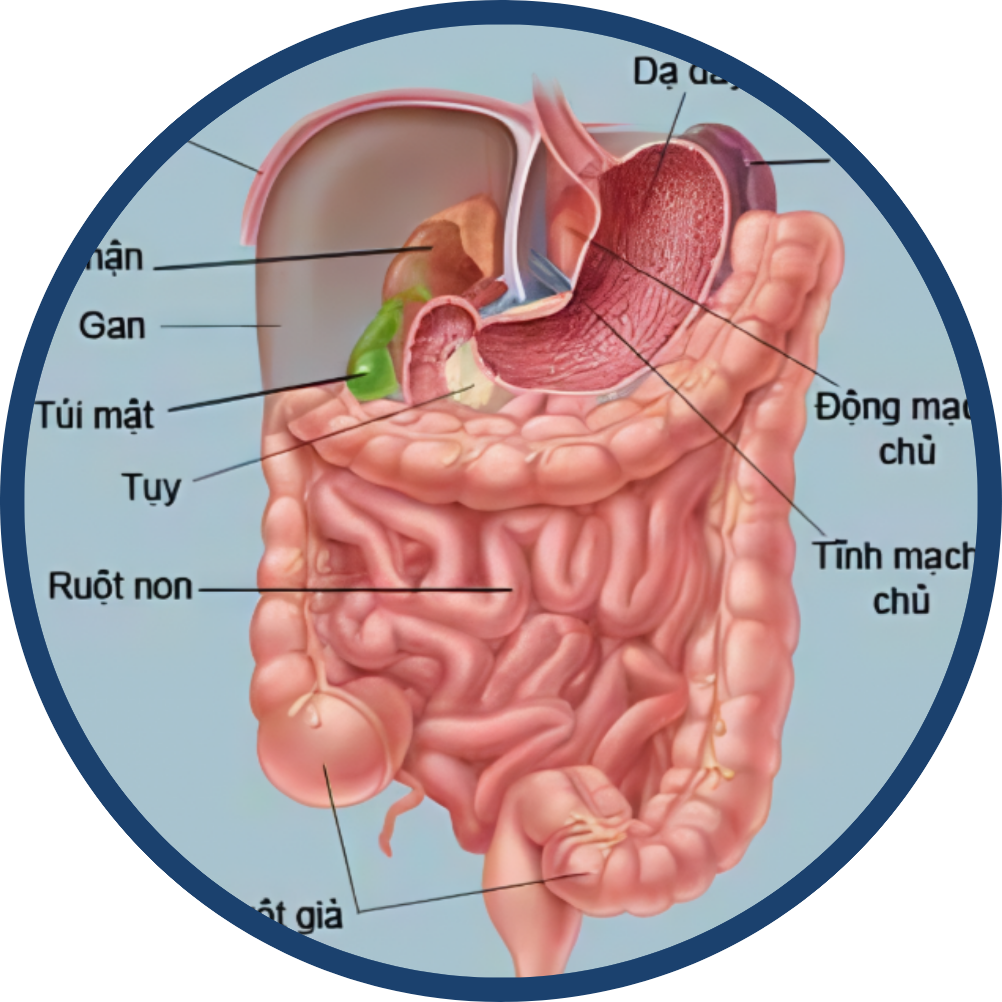 150 tỷ lợi khuẩn